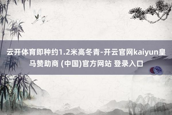 云开体育即种约1.2米高冬青-开云官网kaiyun皇马赞助商 (中国)官方网站 登录入口