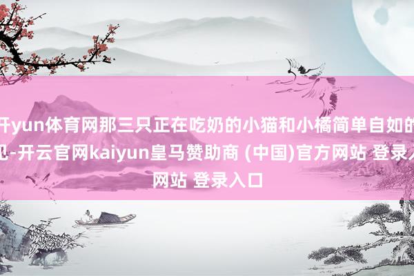 开yun体育网那三只正在吃奶的小猫和小橘简单自如的成见-开云官网kaiyun皇马赞助商 (中国)官方网站 登录入口