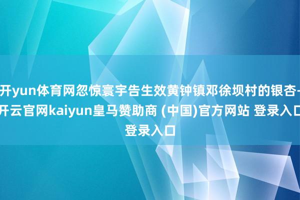 开yun体育网忽惊寰宇告生效黄钟镇邓徐坝村的银杏-开云官网kaiyun皇马赞助商 (中国)官方网站 登录入口