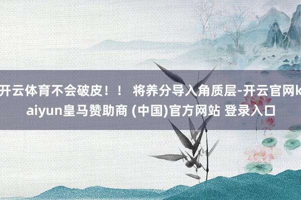 开云体育不会破皮！！ 将养分导入角质层-开云官网kaiyun皇马赞助商 (中国)官方网站 登录入口