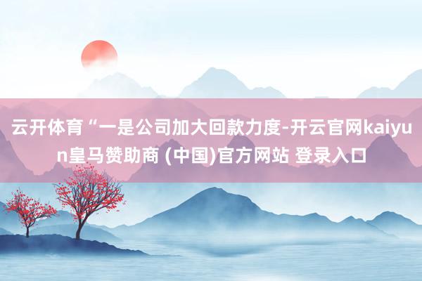 云开体育“一是公司加大回款力度-开云官网kaiyun皇马赞助商 (中国)官方网站 登录入口