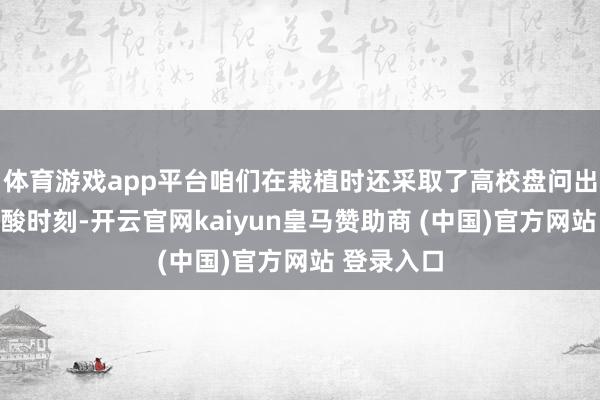 体育游戏app平台咱们在栽植时还采取了高校盘问出来的高叶酸时刻-开云官网kaiyun皇马赞助商 (中国)官方网站 登录入口