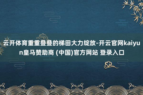 云开体育重重叠叠的梯田大力绽放-开云官网kaiyun皇马赞助商 (中国)官方网站 登录入口