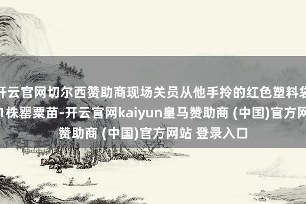 开云官网切尔西赞助商现场关员从他手拎的红色塑料袋中查获了981株罂粟苗-开云官网kaiyun皇马赞助商 (中国)官方网站 登录入口