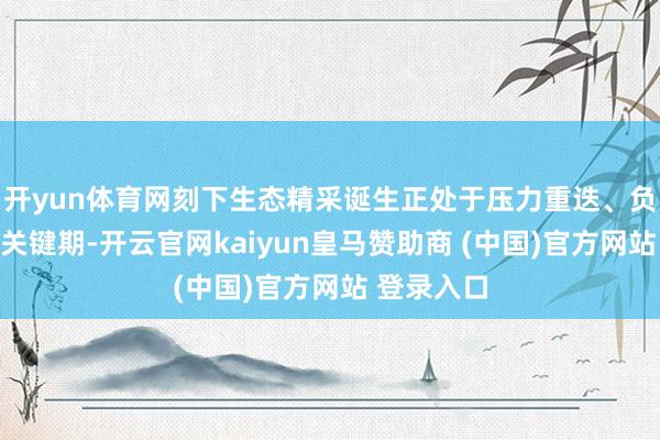 开yun体育网刻下生态精采诞生正处于压力重迭、负重前行的关键期-开云官网kaiyun皇马赞助商 (中国)官方网站 登录入口