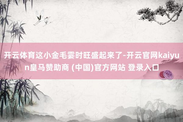 开云体育这小金毛霎时旺盛起来了-开云官网kaiyun皇马赞助商 (中国)官方网站 登录入口