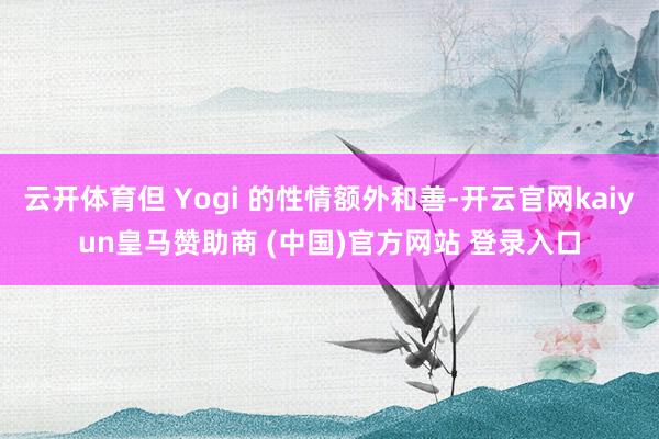 云开体育但 Yogi 的性情额外和善-开云官网kaiyun皇马赞助商 (中国)官方网站 登录入口
